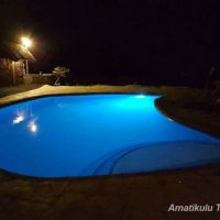 bayala-safari-lodge swimming-pool-1.jpg